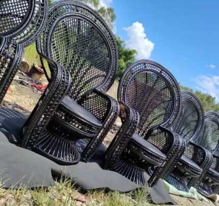 Peacock Chairs